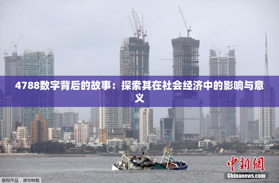 4788数字背后的故事：探索其在社会经济中的影响与意义
