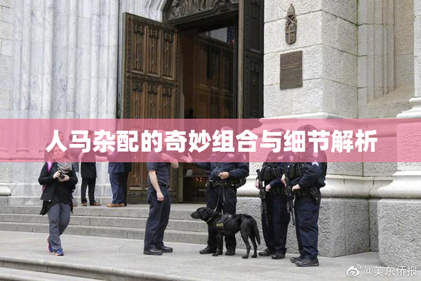 人马杂配的奇妙组合与细节解析