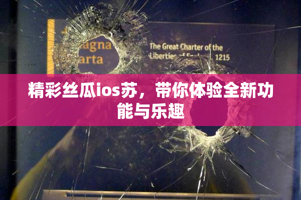 精彩丝瓜ios苏，带你体验全新功能与乐趣