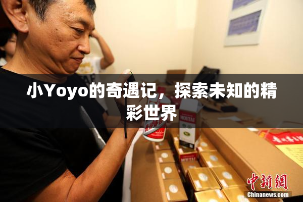 小Yoyo的奇遇记，探索未知的精彩世界