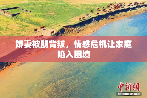 娇妻被朋背叛，情感危机让家庭陷入困境
