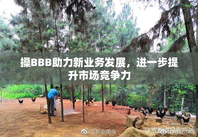 搡BBB助力新业务发展，进一步提升市场竞争力