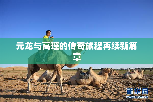 元龙与高瑶的传奇旅程再续新篇章