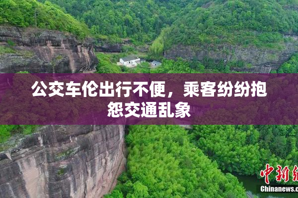 公交车伦出行不便，乘客纷纷抱怨交通乱象