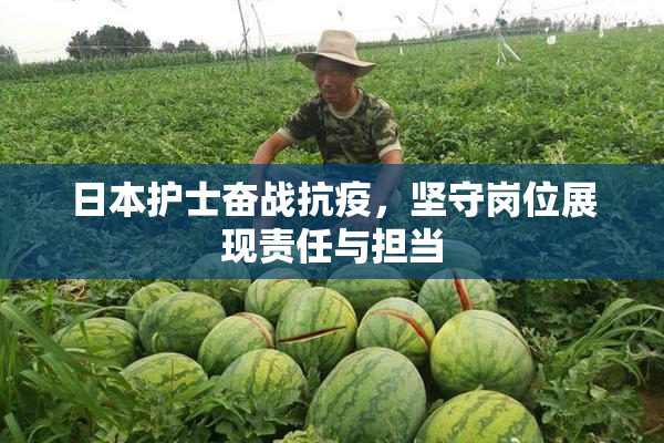 日本护士奋战抗疫，坚守岗位展现责任与担当
