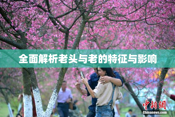 全面解析老头与老的特征与影响