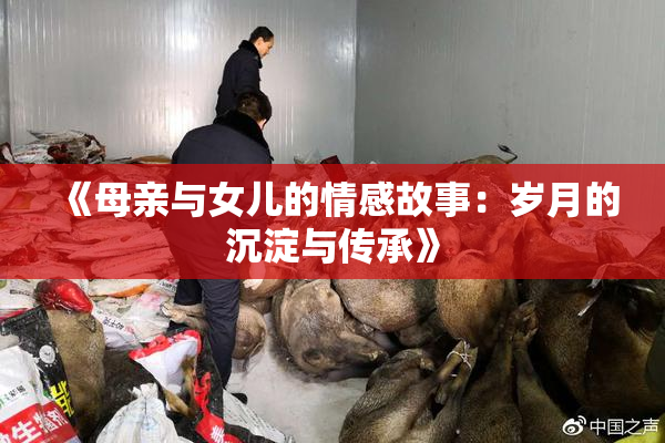 《母亲与女儿的情感故事：岁月的沉淀与传承》