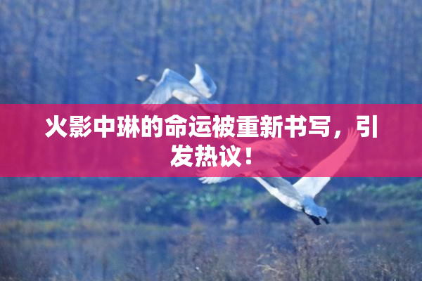 火影中琳的命运被重新书写，引发热议！