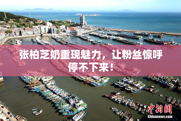 张柏芝奶重现魅力，让粉丝惊呼停不下来！