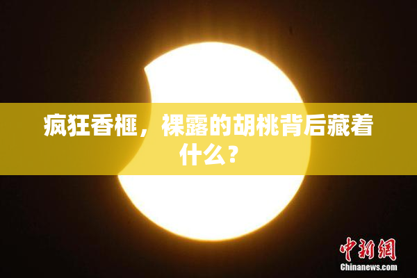 疯狂香榧，裸露的胡桃背后藏着什么？