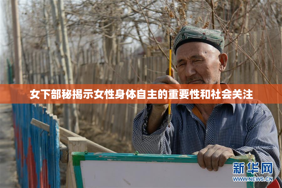 女下部秘揭示女性身体自主的重要性和社会关注