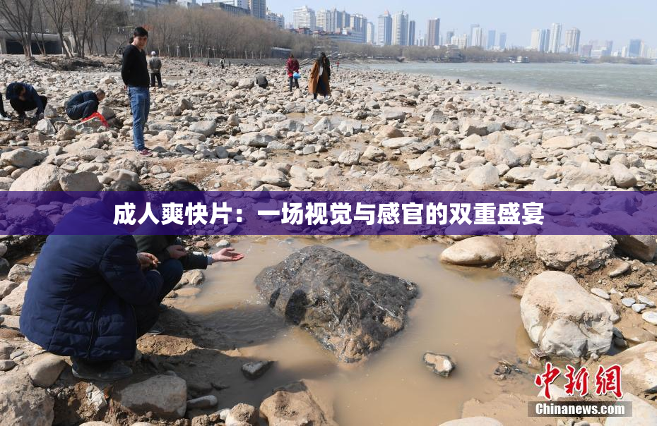成人爽快片：一场视觉与感官的双重盛宴