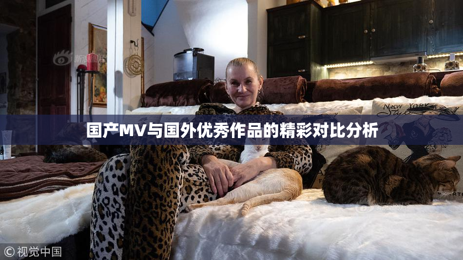 国产MV与国外优秀作品的精彩对比分析