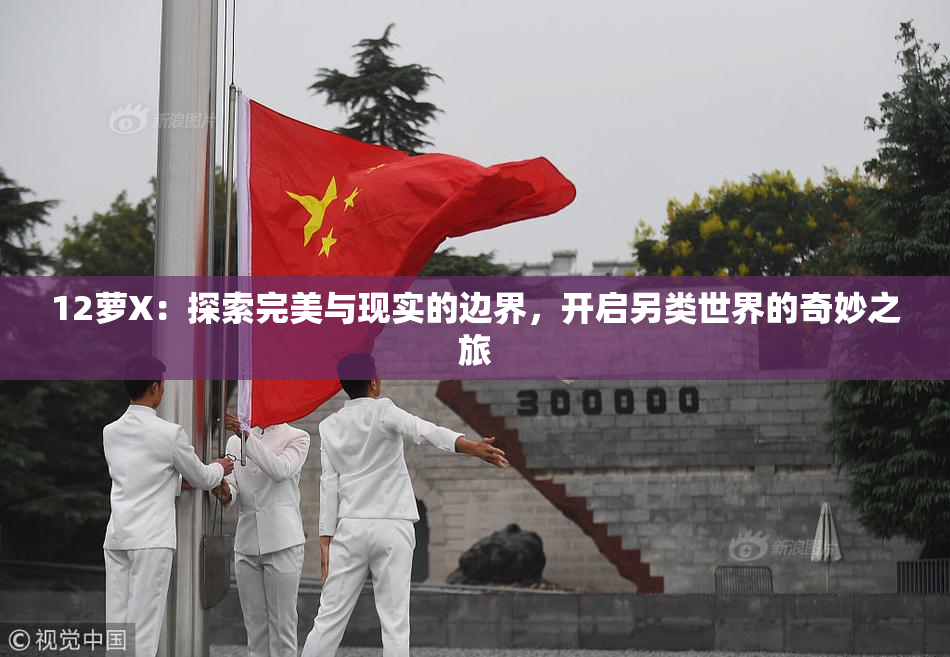12萝X：探索完美与现实的边界，开启另类世界的奇妙之旅