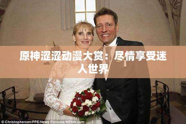 原神涩涩动漫大赏：尽情享受迷人世界