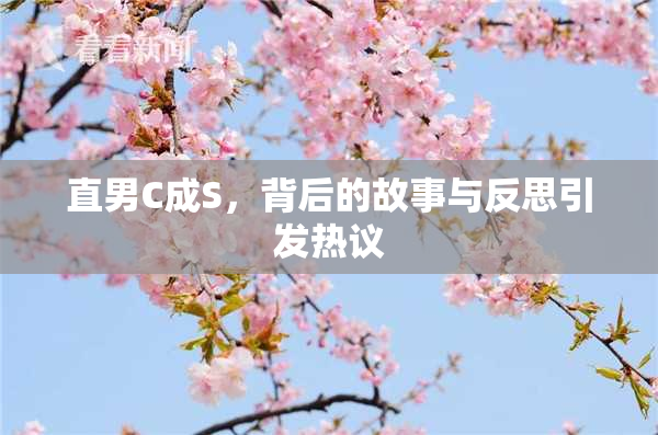 直男C成S，背后的故事与反思引发热议