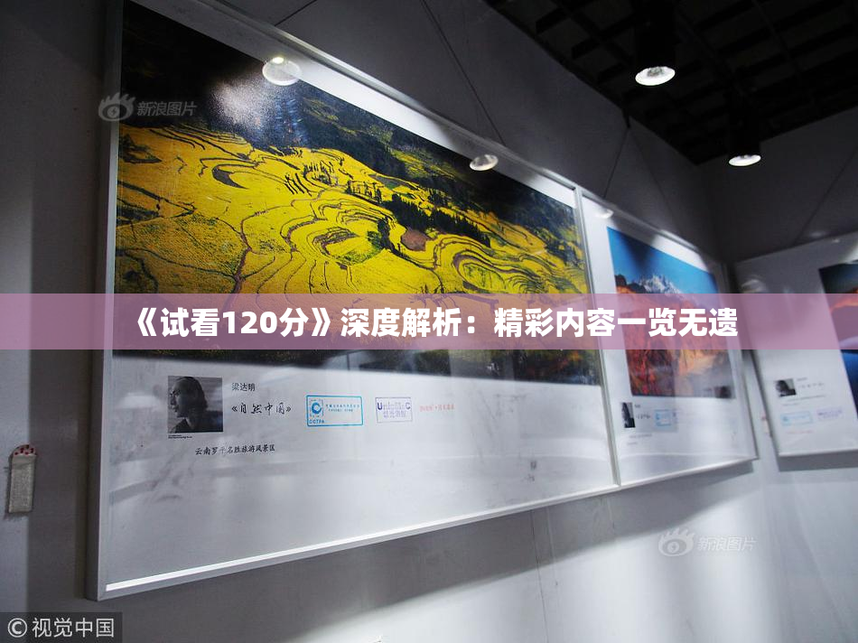 《试看120分》深度解析：精彩内容一览无遗