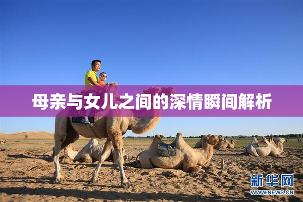 母亲与女儿之间的深情瞬间解析