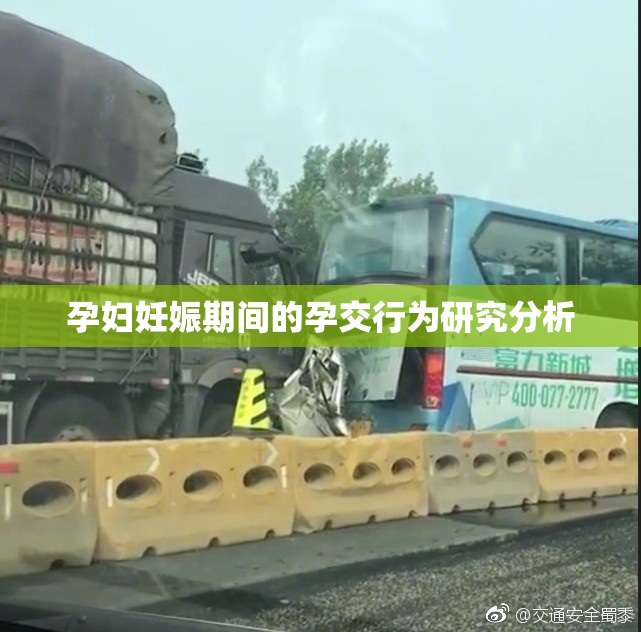 孕妇妊娠期间的孕交行为研究分析
