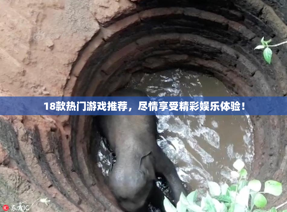 18款热门游戏推荐，尽情享受精彩娱乐体验！