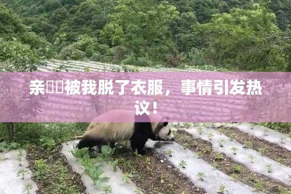 亲妺妺被我脱了衣服，事情引发热议！