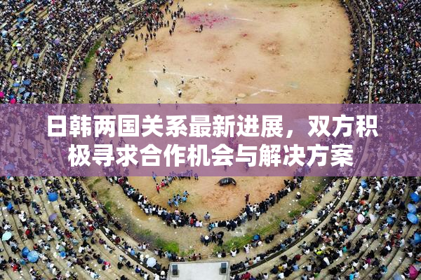 日韩两国关系最新进展，双方积极寻求合作机会与解决方案