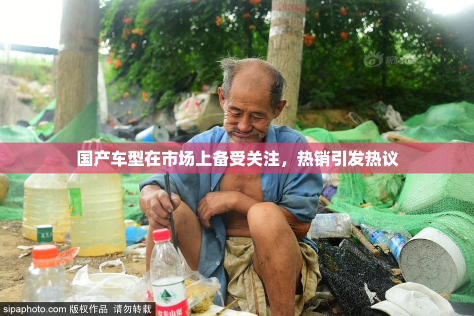 国产车型在市场上备受关注，热销引发热议