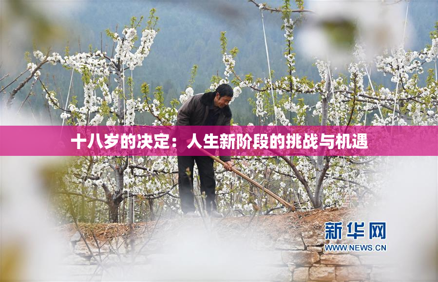 十八岁的决定：人生新阶段的挑战与机遇