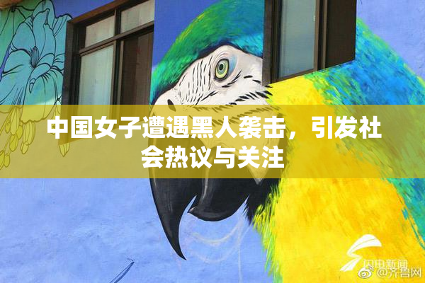 中国女子遭遇黑人袭击，引发社会热议与关注