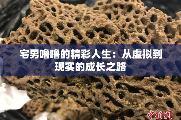 宅男噜噜的精彩人生：从虚拟到现实的成长之路