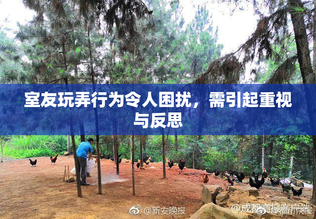 室友玩弄行为令人困扰，需引起重视与反思