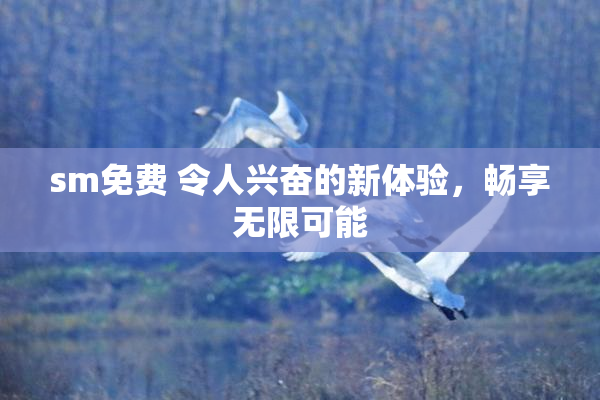 sm免费 令人兴奋的新体验，畅享无限可能