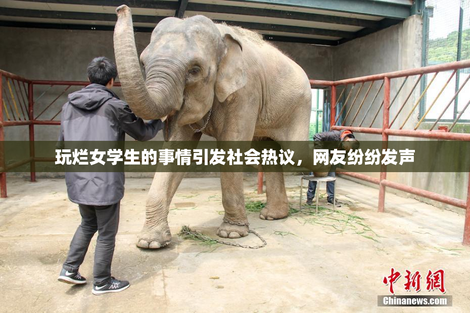 玩烂女学生的事情引发社会热议，网友纷纷发声