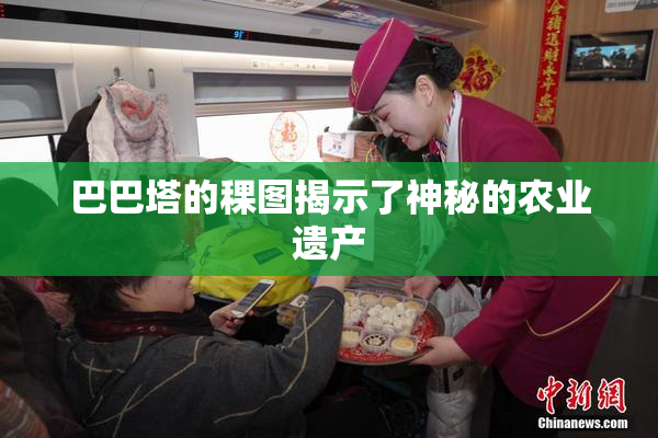 巴巴塔的稞图揭示了神秘的农业遗产
