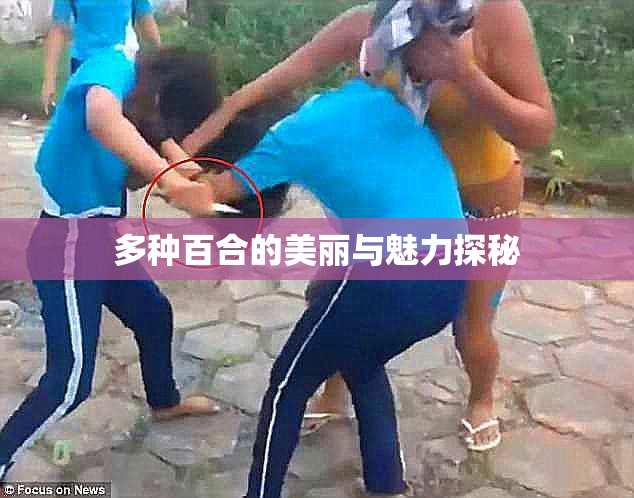 多种百合的美丽与魅力探秘