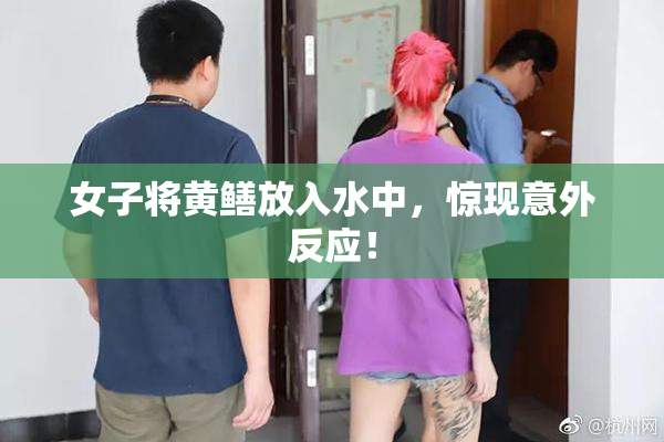 女子将黄鳝放入水中，惊现意外反应！