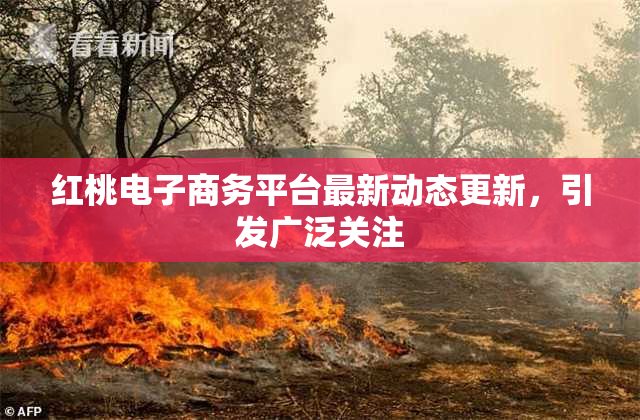 红桃电子商务平台最新动态更新，引发广泛关注