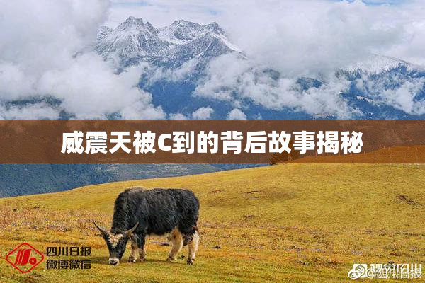 威震天被C到的背后故事揭秘