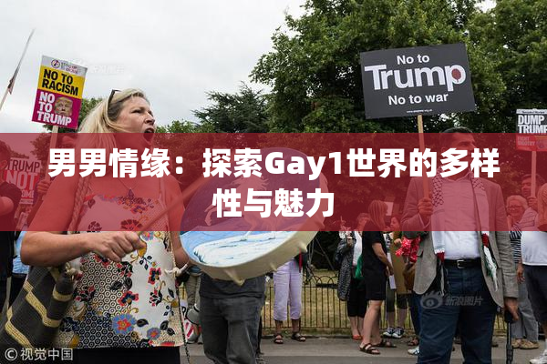男男情缘：探索Gay1世界的多样性与魅力