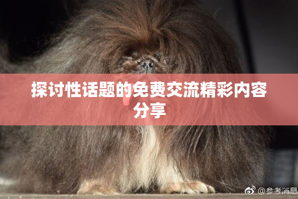 探讨性话题的免费交流精彩内容分享