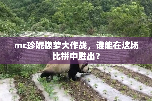 mc珍妮拔萝大作战，谁能在这场比拼中胜出？