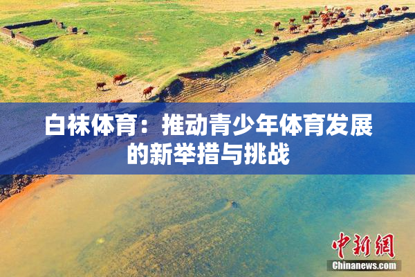 白袜体育：推动青少年体育发展的新举措与挑战