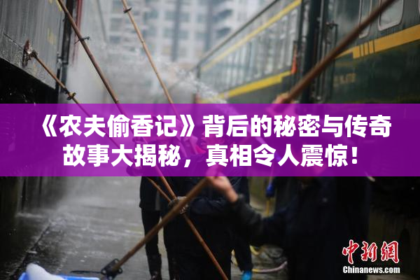 《农夫偷香记》背后的秘密与传奇故事大揭秘，真相令人震惊！