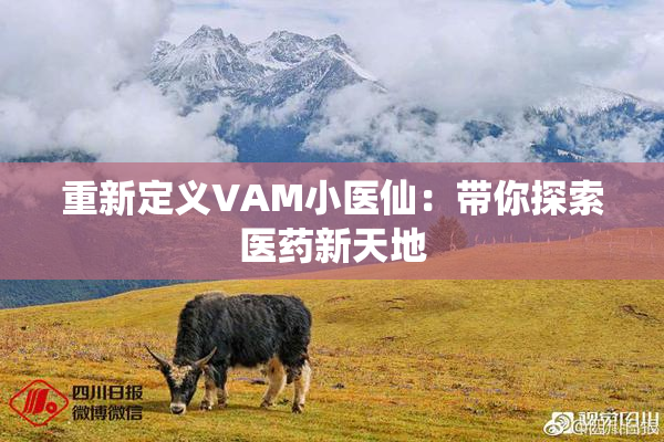 重新定义VAM小医仙：带你探索医药新天地