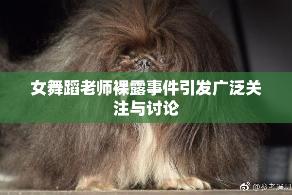 女舞蹈老师裸露事件引发广泛关注与讨论