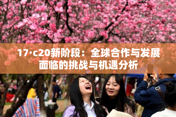 17·c20新阶段：全球合作与发展面临的挑战与机遇分析