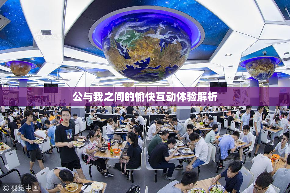 公与我之间的愉快互动体验解析