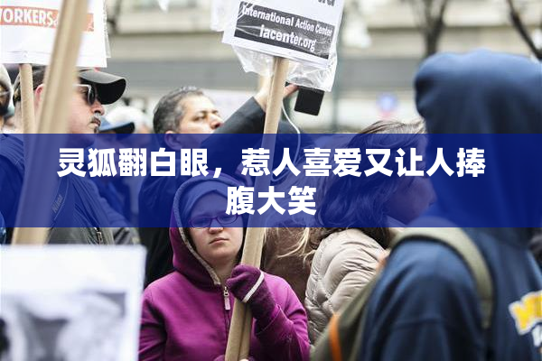 灵狐翻白眼，惹人喜爱又让人捧腹大笑