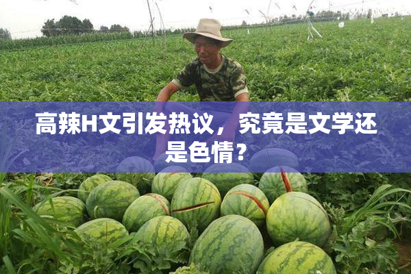 高辣H文引发热议，究竟是文学还是色情？