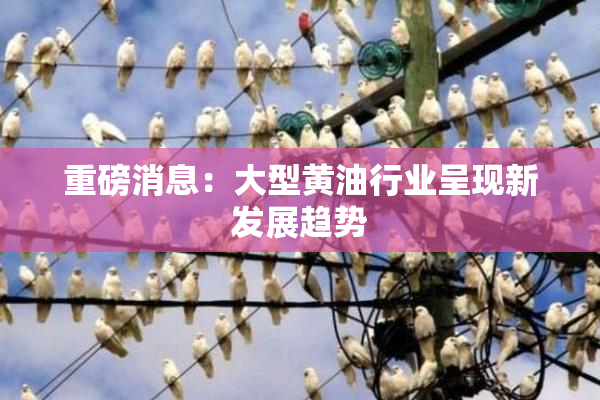 重磅消息：大型黄油行业呈现新发展趋势